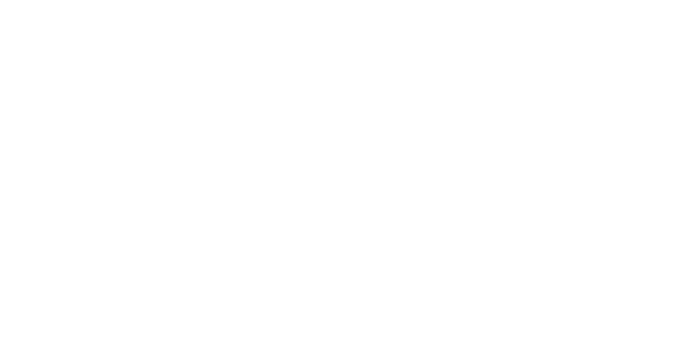 Innovator Insight